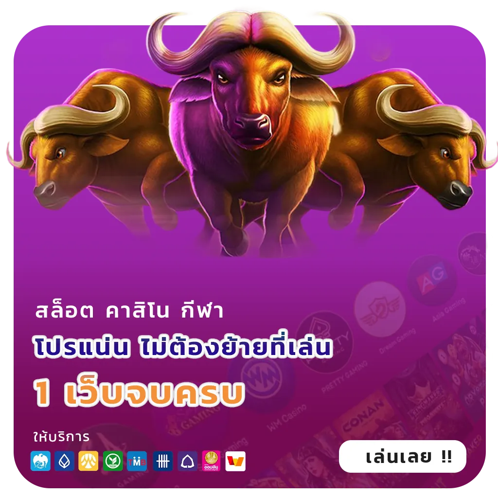 ktv888 โปรแรง